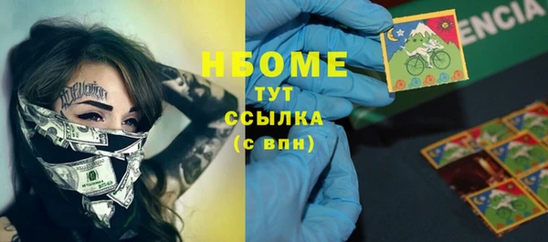 индика Новокубанск
