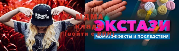 индика Новокубанск