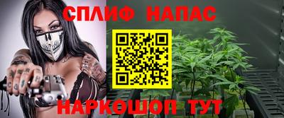 мдпв Гатчина