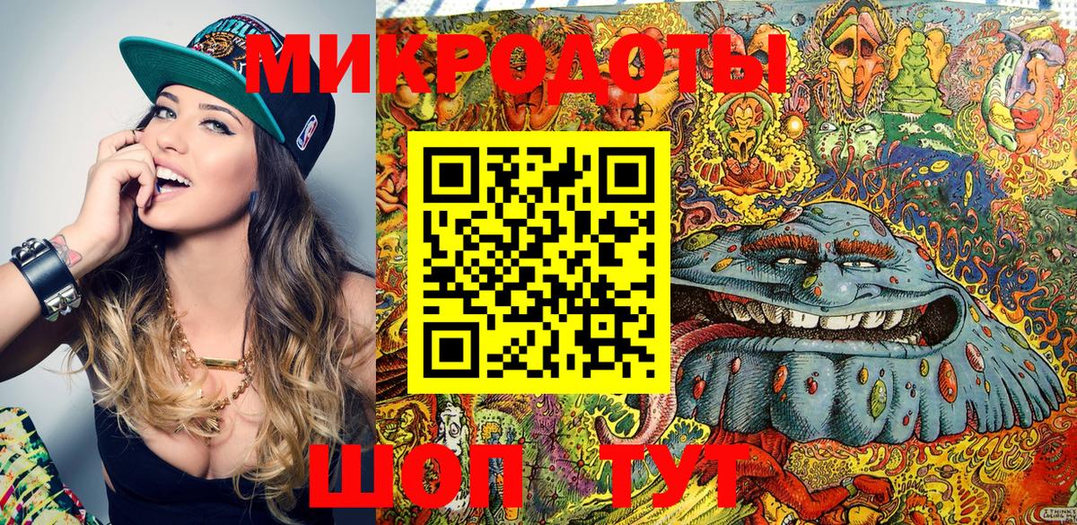 Псилоцибиновые грибы Psilocybe  Краснокаменск 